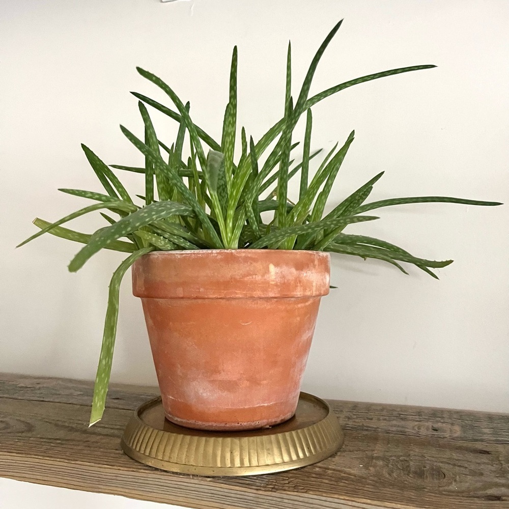 Brass plant stand or pillar candle stand